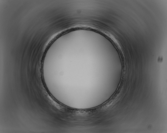 X0000091990799200710041129