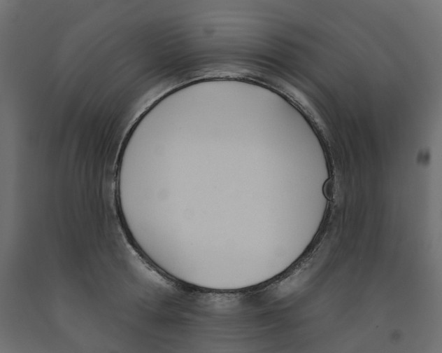 X0000091990802200710041129