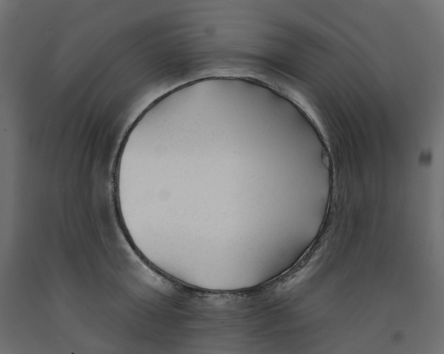 X0000091990803200710041129