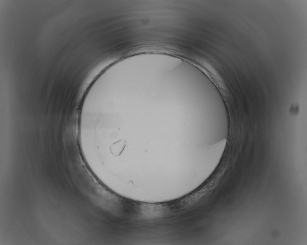 X0000091990804200710041129