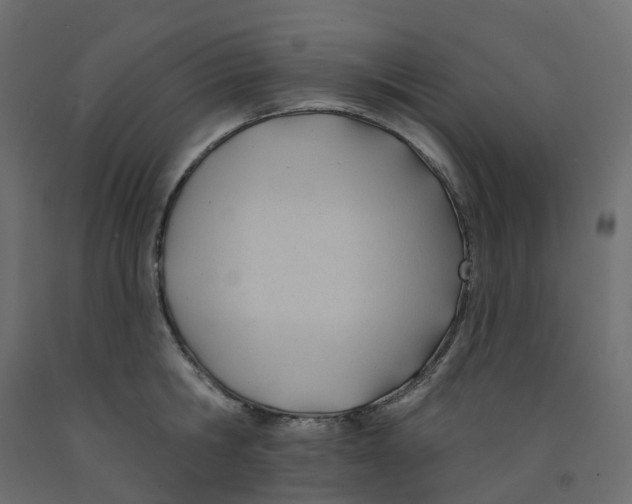 X0000091990806200710041129