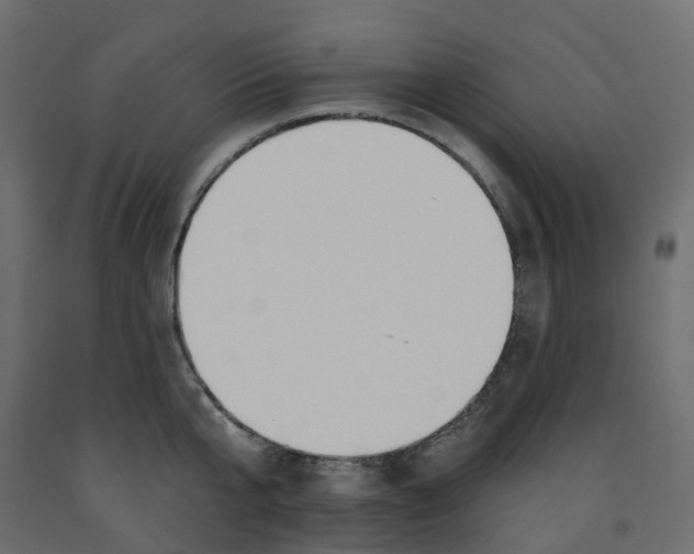 X0000091990807200710041129