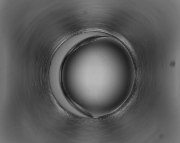X0000091990809200710041129
