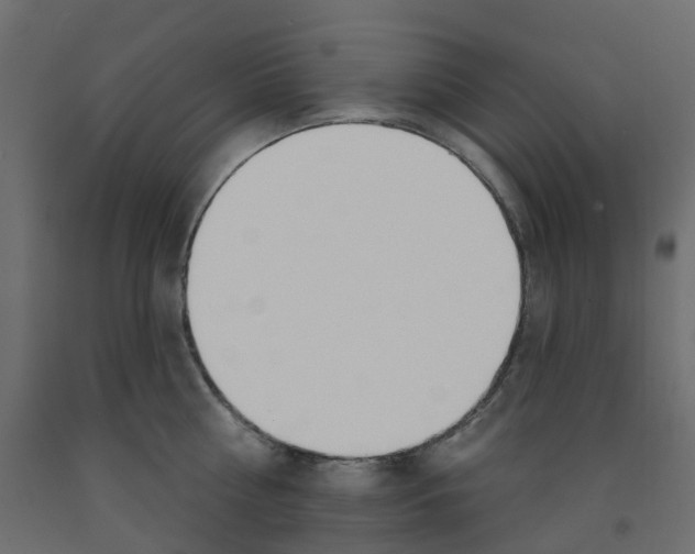 X0000091990810200710041129
