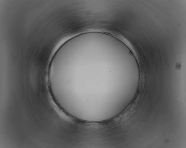 X0000091990811200710041129