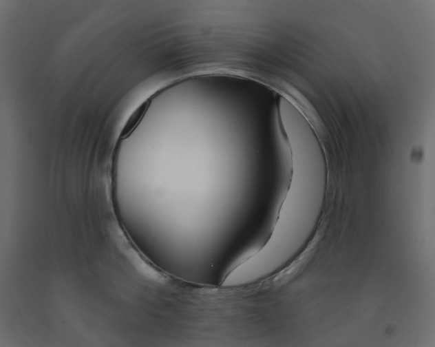 X0000091990812200710041129