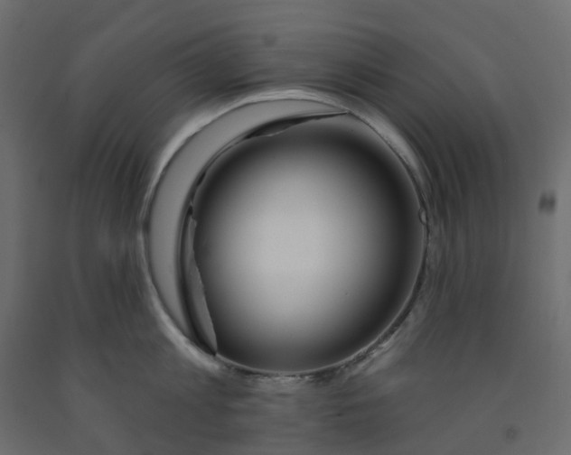 X0000091990813200710041128