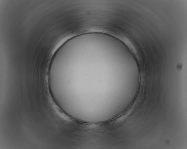 X0000091990814200710041128