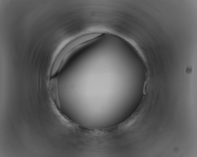 X0000091990815200710041128