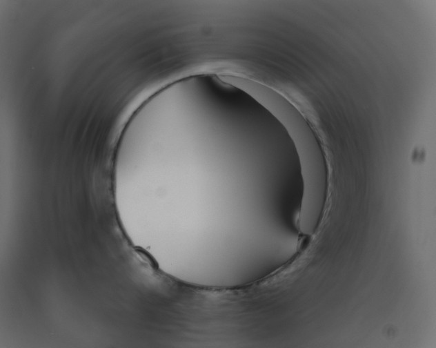 X0000091990816200710041128