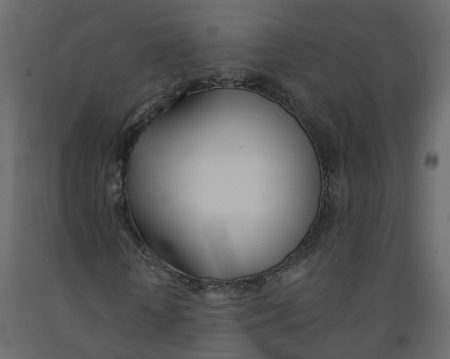 X0000091990818200710041128