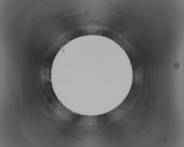 X0000091990820200710041128