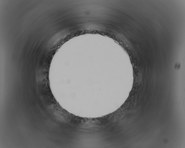 X0000091990824200710041128