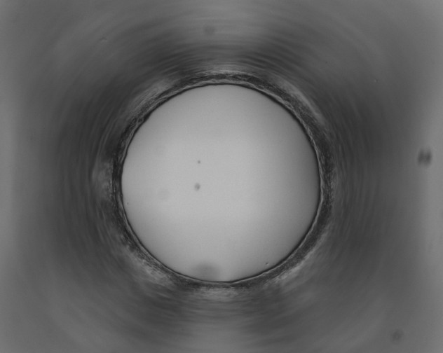 X0000091990825200710041128