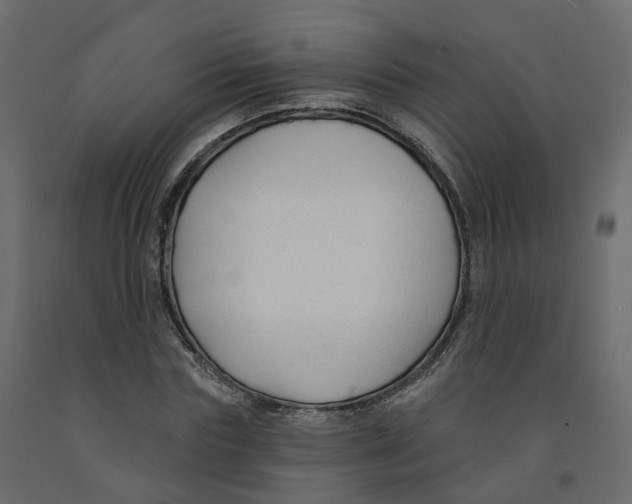 X0000091990827200710041128