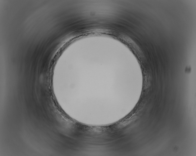 X0000091990828200710041128