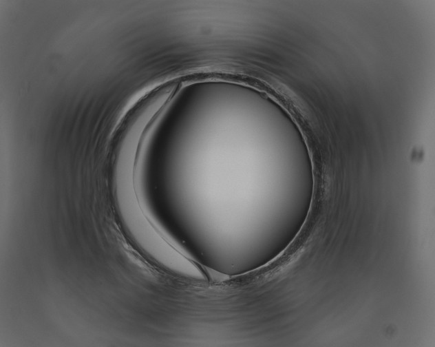 X0000091990830200710041128