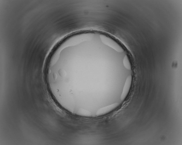 X0000091990832200710041128