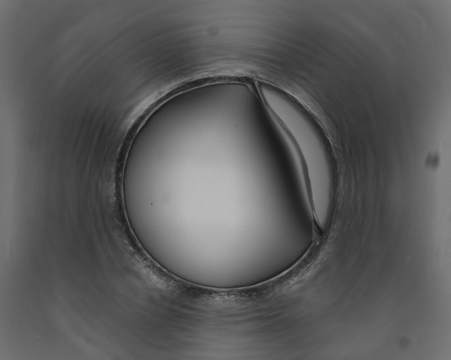 X0000091990834200710041128