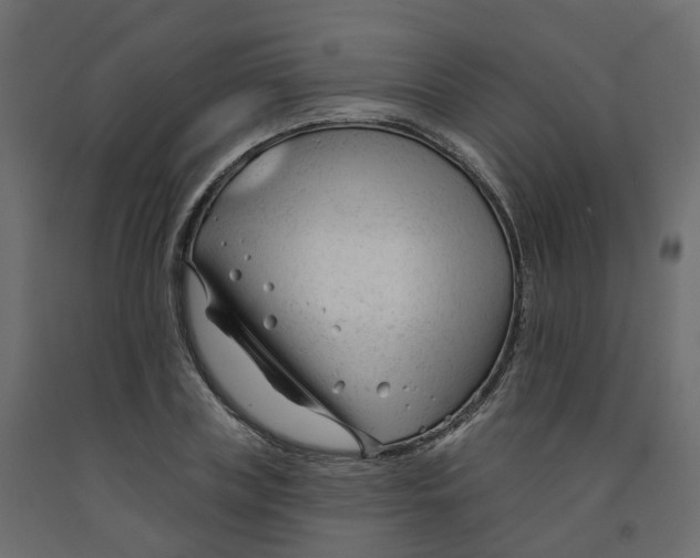 X0000091990835200710041128