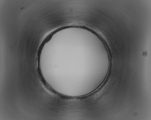 X0000091990838200710041128