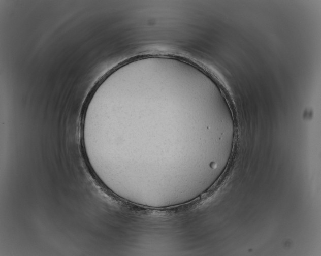 X0000091990839200710041128