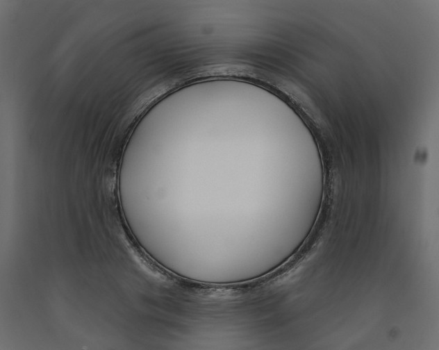 X0000091990841200710041128