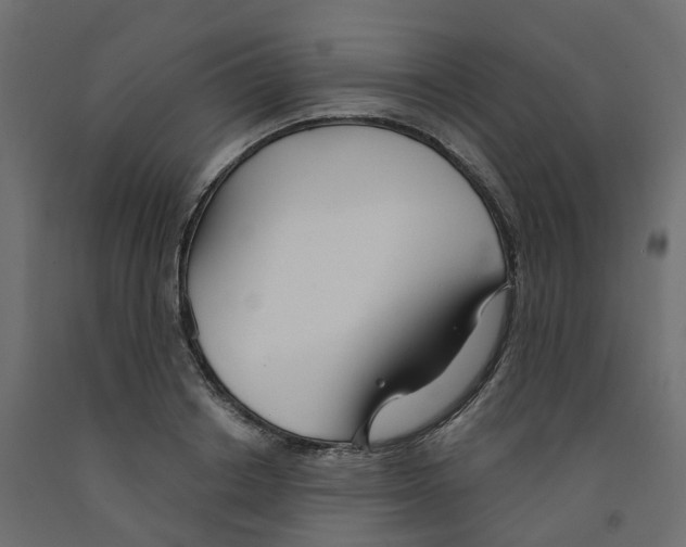 X0000091990842200710041128