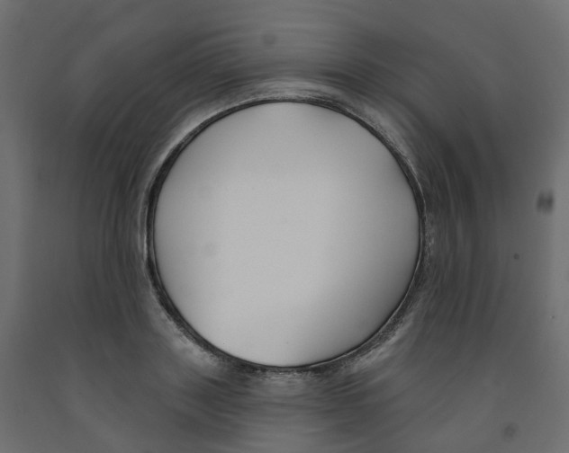 X0000091990843200710041128