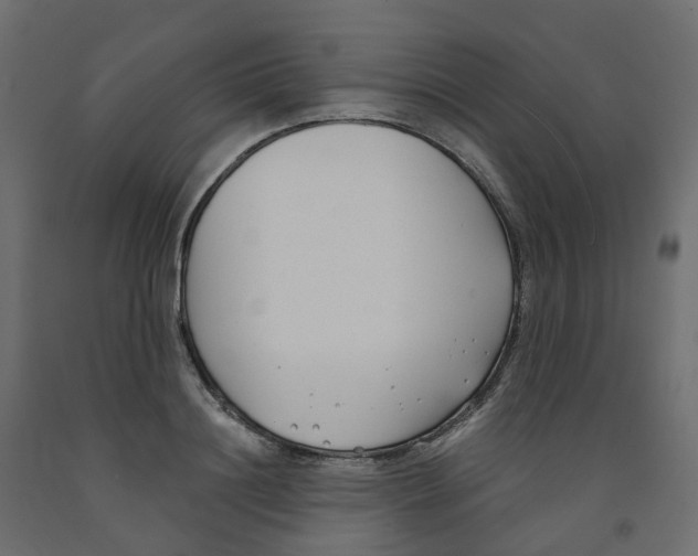 X0000091990844200710041128
