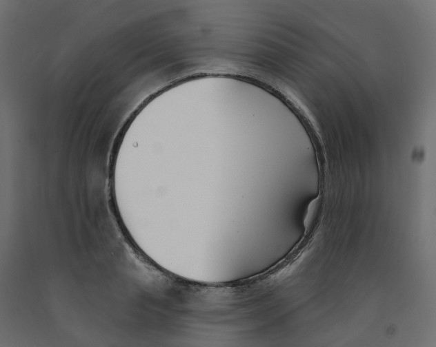 X0000091990845200710041128