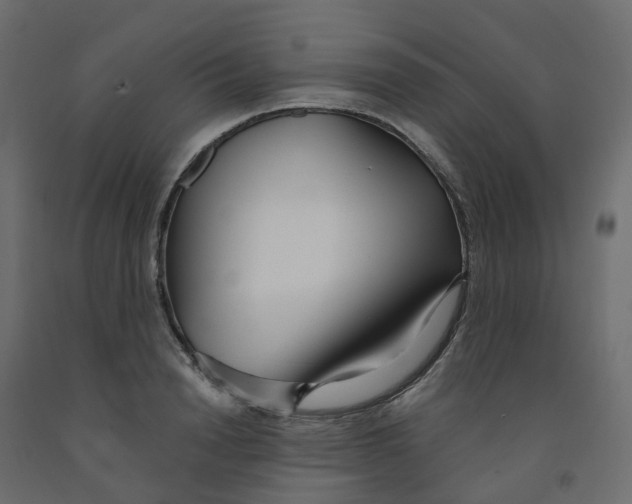 X0000091990846200710041128