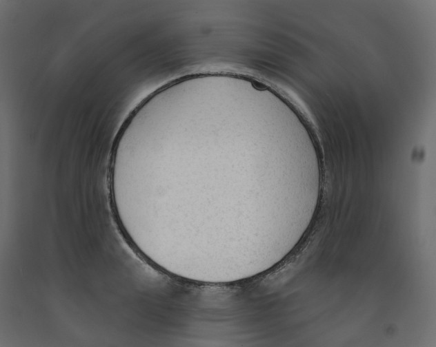 X0000091990847200710041128