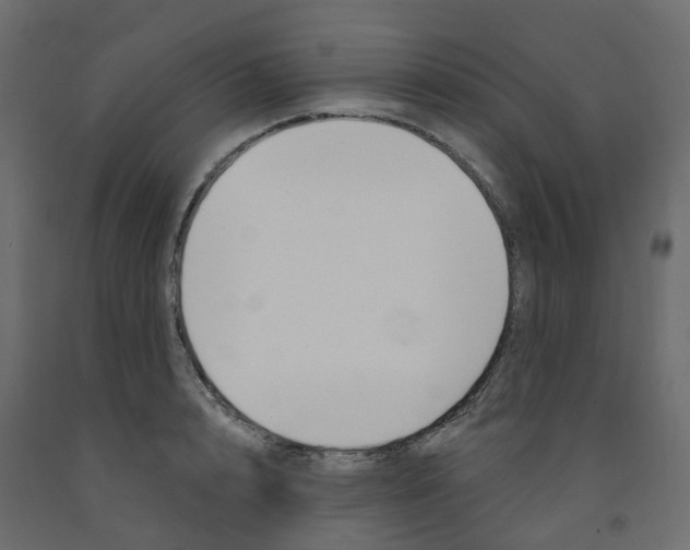 X0000091990848200710041128