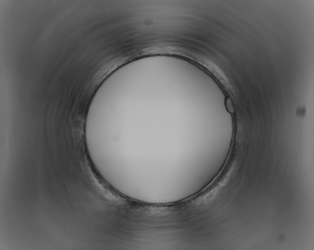X0000091990849200710041128