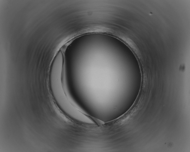 X0000091990850200710041128