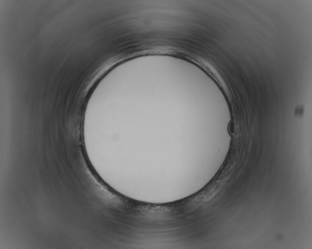 X0000091990851200710041128
