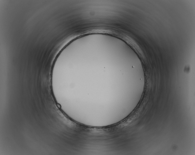 X0000091990852200710041128