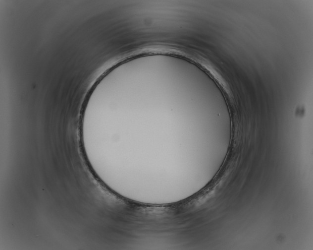 X0000091990853200710041128