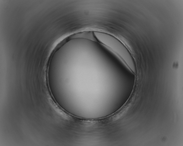 X0000091990854200710041128
