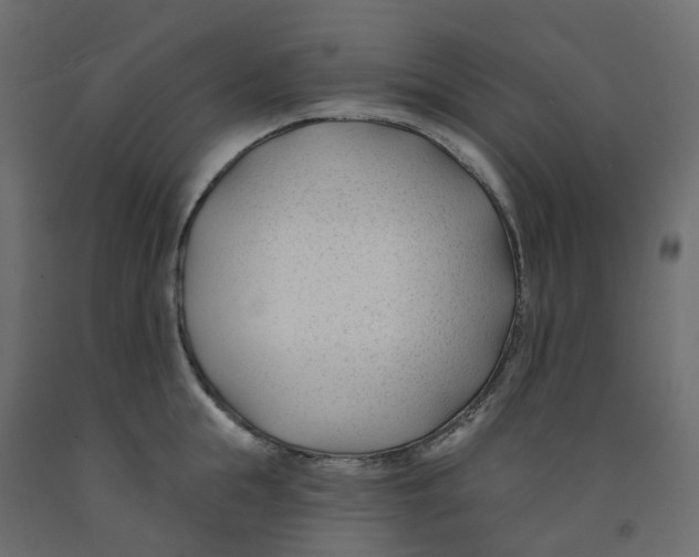 X0000091990855200710041128