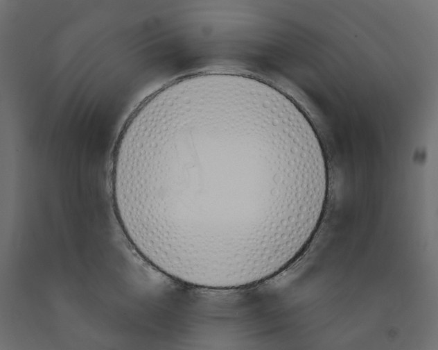 X0000091990856200710041128