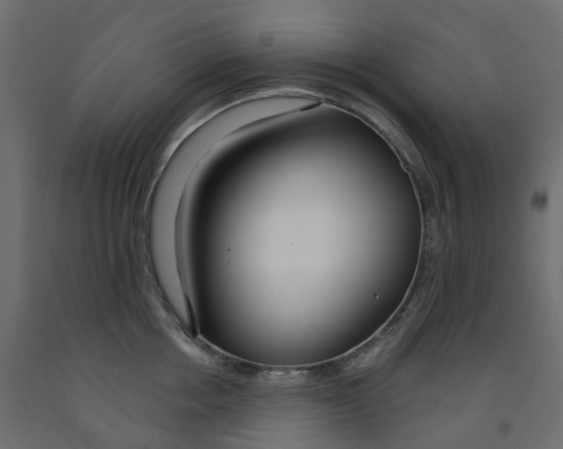 X0000091990858200710041128