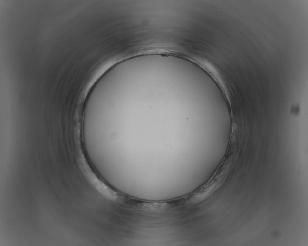 X0000091990859200710041128