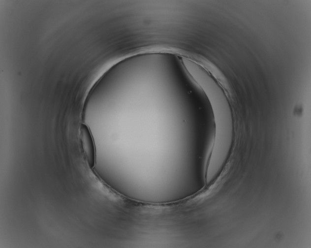 X0000091990860200710041128