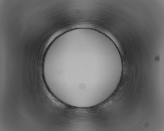 X0000091990861200710041128