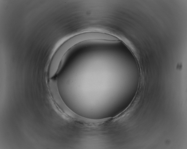 X0000091990862200710041128