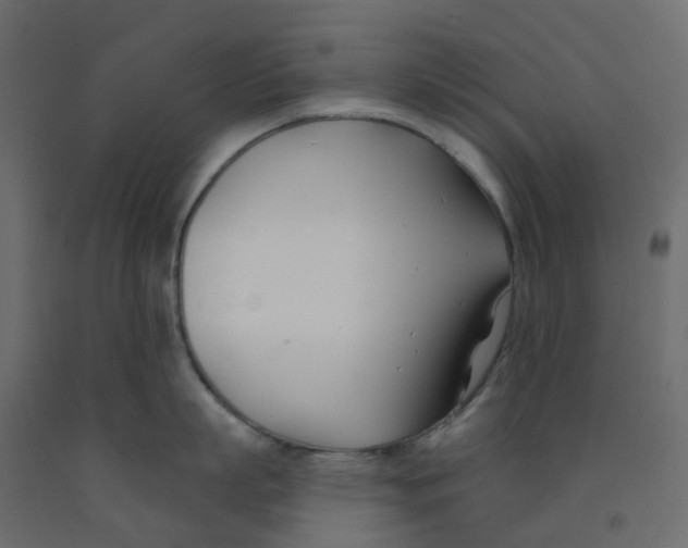 X0000091990863200710041128