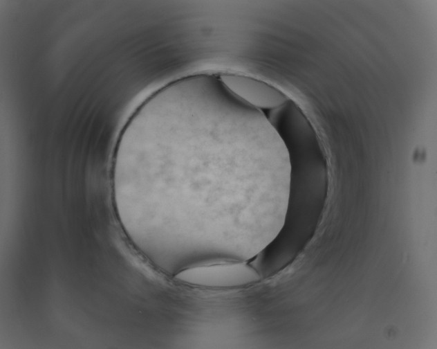 X0000091990864200710041128