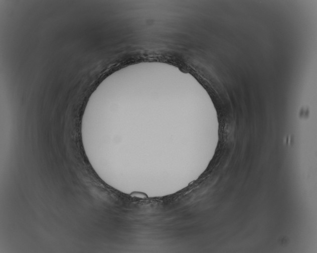 X0000091990865200710041128